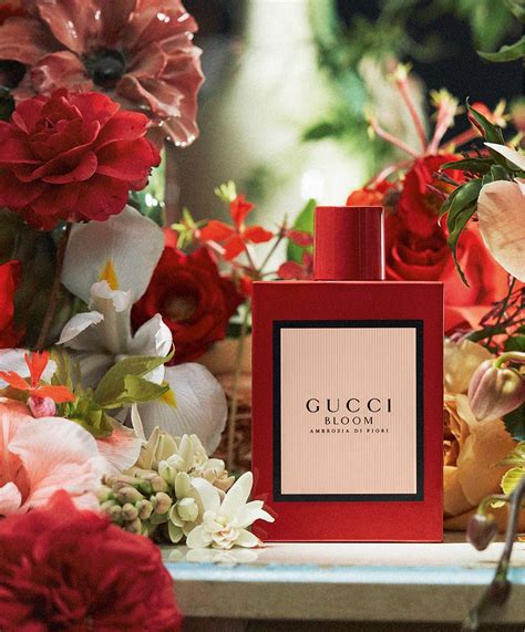 gucci bloom ambrosia di fiori avis|Gucci Bloom ambrosia perfume review.